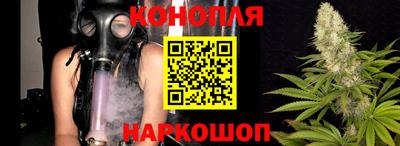 стаф Нальчик