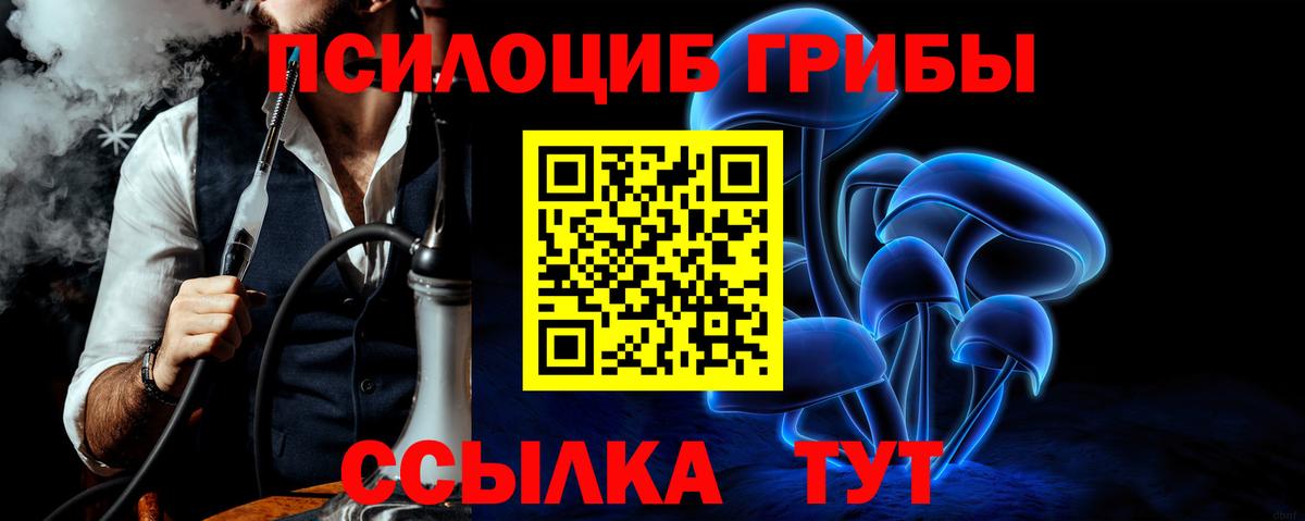 Галлюциногенные грибы MAGIC MUSHROOMS  где можно купить наркотик  Славянск-на-Кубани  Вход с VPN 
